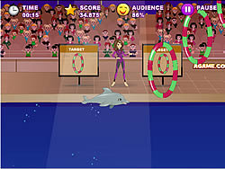 My Dolphin Show